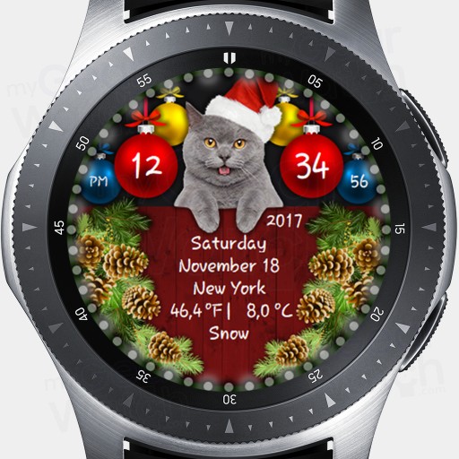 ACD Christmas 04
